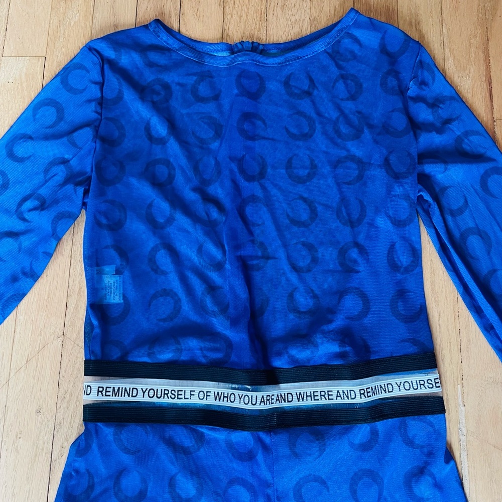 Blue Sheer Long Sleeve Top